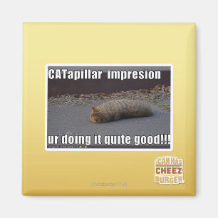 Aimant CATapillar