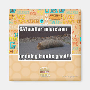 Aimant CATapillar