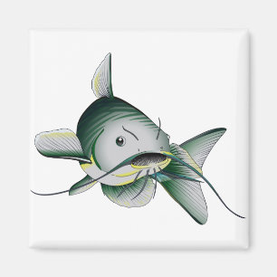 Aimant Catfish