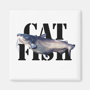 Aimant Catfish