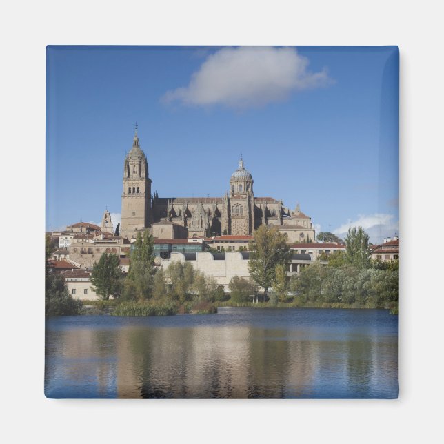 Aimant Cathédrale de Salamanque et ville (Devant)