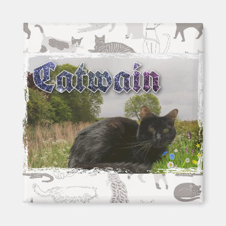 Aimant Catwick