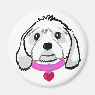 Aimant Cavachon