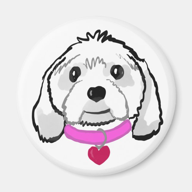 Aimant Cavachon (Devant)