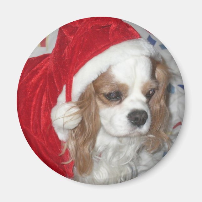 AIMANT CAVALIER KING CHARLES ESPAGNOL CHIEN AVEC SANTA HA (Devant)