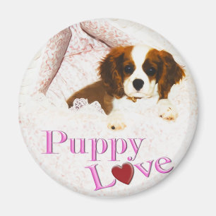 Aimant Cavalier King Charles Spaniel Amour de Chie