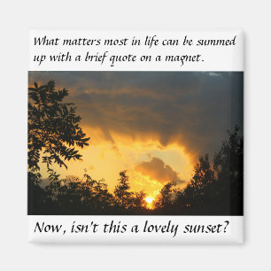 Aimant Ce qui importe la plupart d'aimant