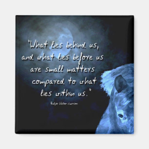 Aimant ce qui se cache derrière nous ...