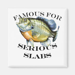 Aimant Célèbre Pour La Lumière Sérieuse Des Marques