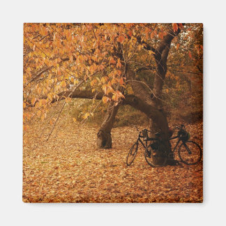 Aimant Central Park Automne - New York City