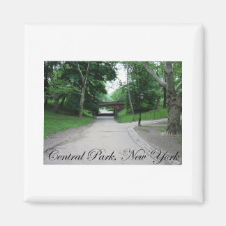 Aimant Central Park, New York 2