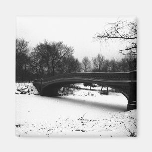 Aimant Central Park NYC d'hiver de pont d'arc