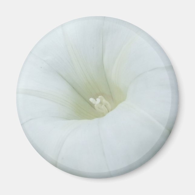 Aimant Centre Fleur Blanche (Devant)
