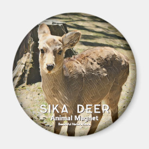 Aimant Cerf Sika magnétique