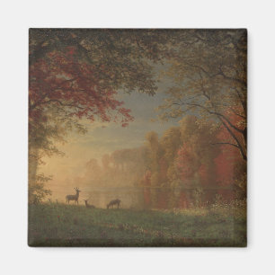 Aimant Cerfs communs indiens de coucher du soleil par un