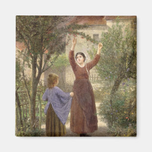 Aimant Cerises de cueillette