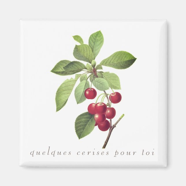 Aimant Cerises pour vous (Devant)