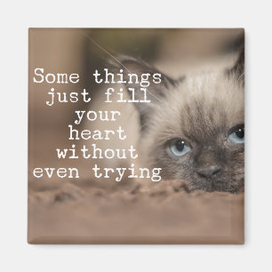 Aimant Certaines Choses Ne Font Que Remplir Votre Coeur