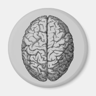 Aimant Cerveau