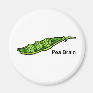 Aimant Cerveau de pois