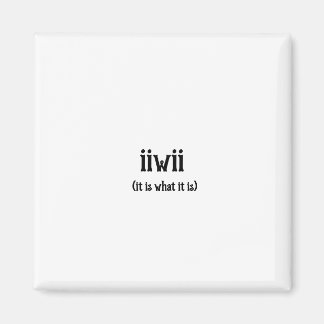 Aimant C'Est Ce Que C'Est Que L'Aimant