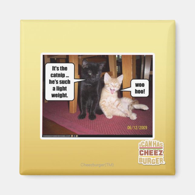 Aimant C'est le catnip (Devant)