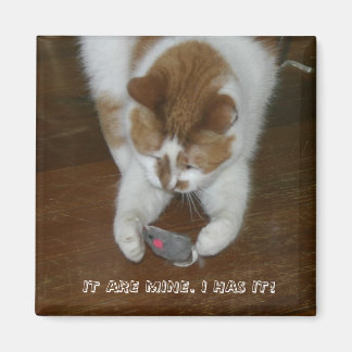 AIMANT C'EST LE MIEN. JE L'AI !