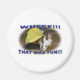 Aimant C'était amusant