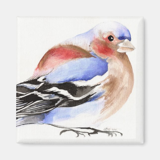 Aimant Chaffinch coloré 2011 (Devant)
