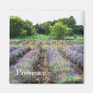 Aimant champ de ferme de lavande - Provence