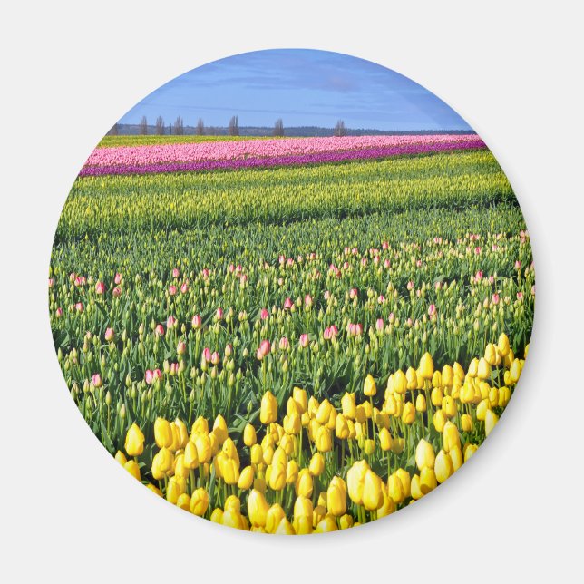 Aimant Champ des tulipes de printemps (Devant)