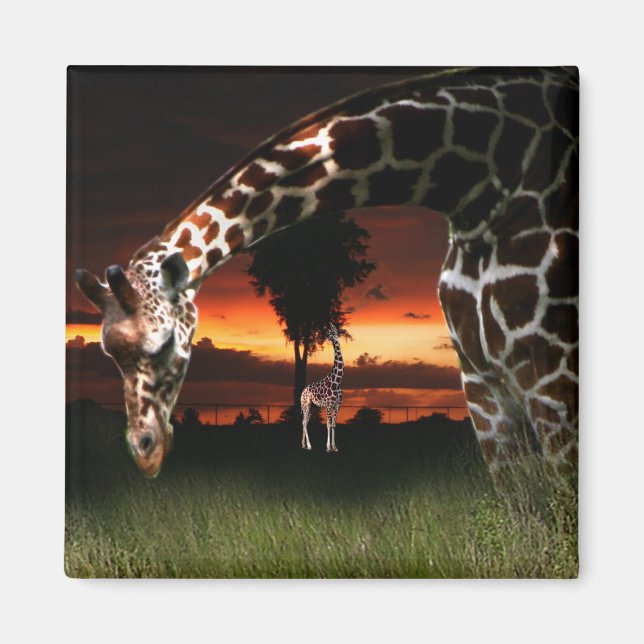 Aimant Champ scolaire africain (Devant)