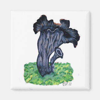 Aimant Champignon Trompette Noire Dessiné à la Main