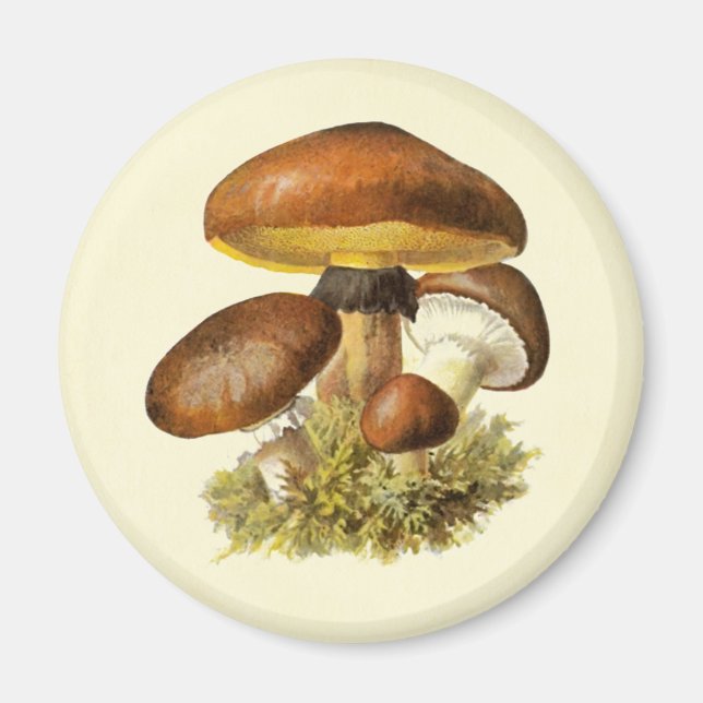 Aimant Champignon Vintage Brown (Devant)