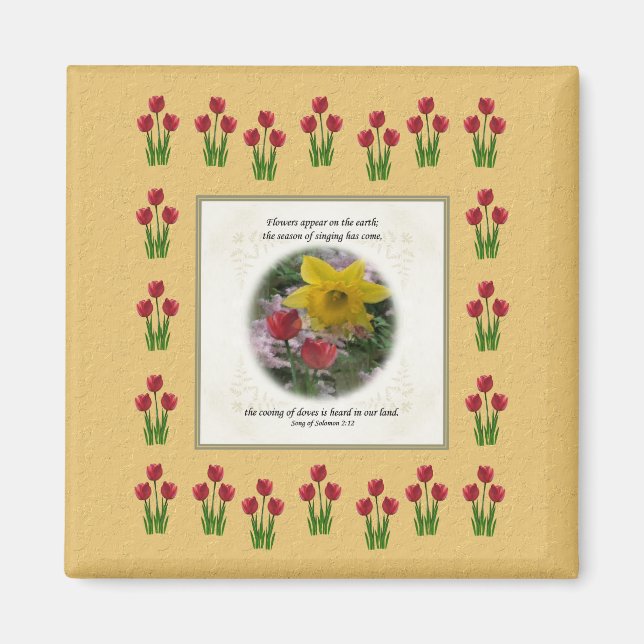 Aimant Chanson de Salomon 2:12 (Devant)