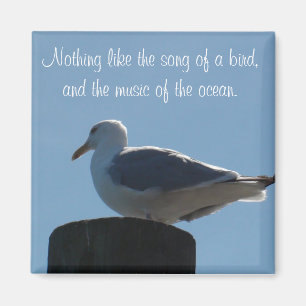 Aimant Chanson d'un oiseau, Musique de l'Ocean Seagull Ma