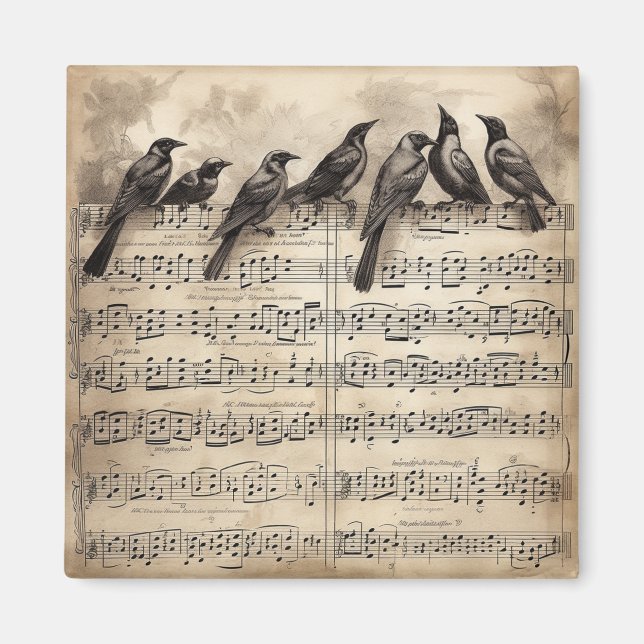 Aimant chant d'oiseaux assis sur une composition musicale (Devant)