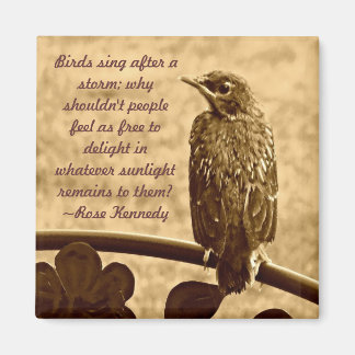 Aimant Chanter après la tempête