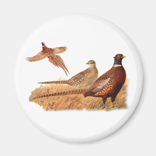 Aimant Chasse aux oiseaux de faisan insaisissable (Devant)