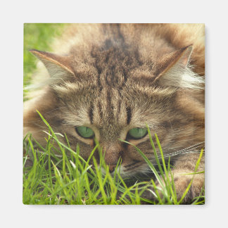 Aimant Chasseur d'oeil vert