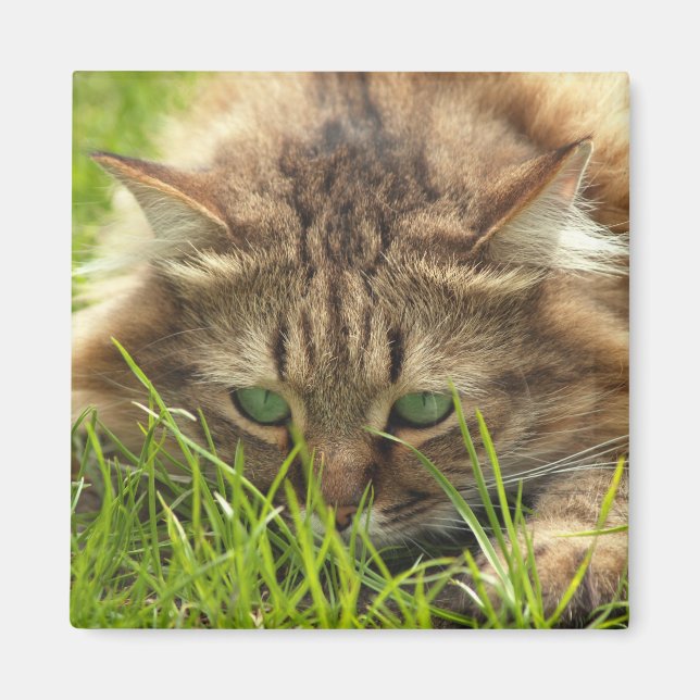 Aimant Chasseur d'oeil vert (Devant)