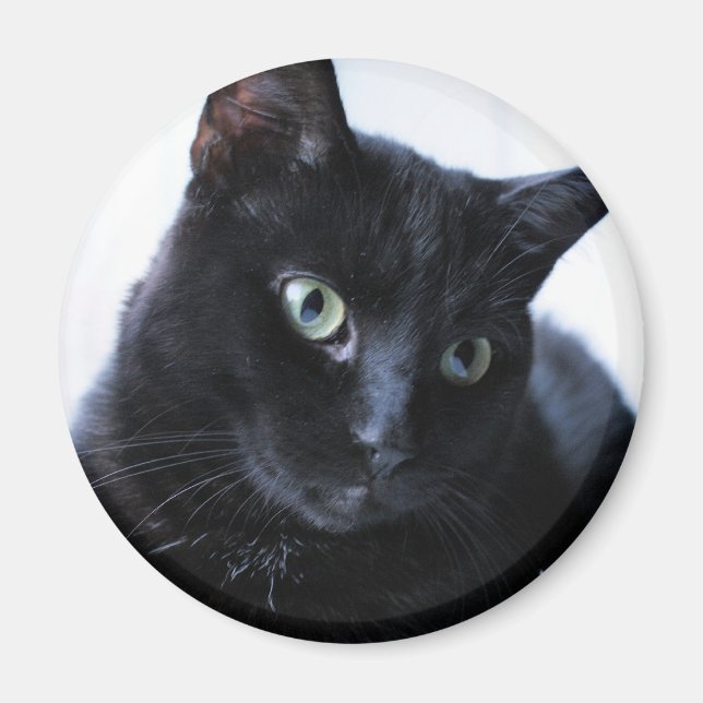 Aimant chat (Devant)