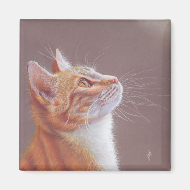 Aimant Chat  (Devant)