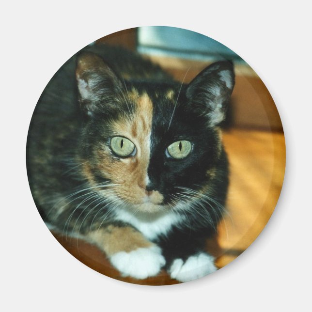 Aimant Chat à deux faces (Devant)
