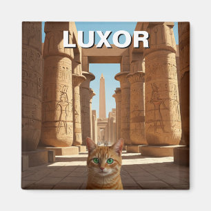 Aimant Chat à Louxor Egypte Karnak Temple Voyage