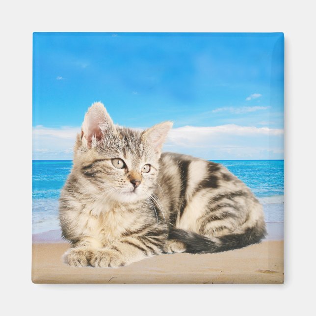 Aimant Chat assis sur la plage de Tropical Island (Devant)