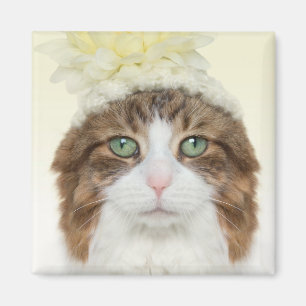 Aimant Chat avec le casquette de fleur