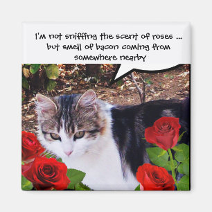 AIMANT CHAT AVEC ROSES ROUGES
