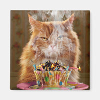 Chat Cranky Drôle Avec Cupcake D'Anniversaire Fond