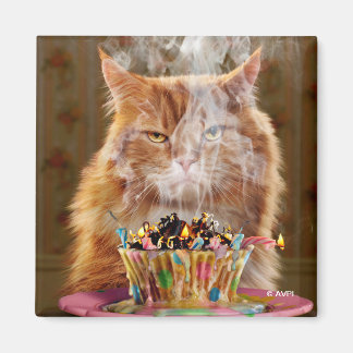 Aimant Chat Cranky Drôle Avec Cupcake D'Anniversaire Fond